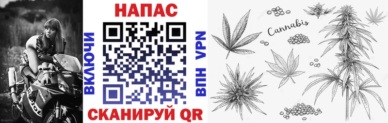 МАРИХУАНА White Widow  mega как войти  Хабаровск 